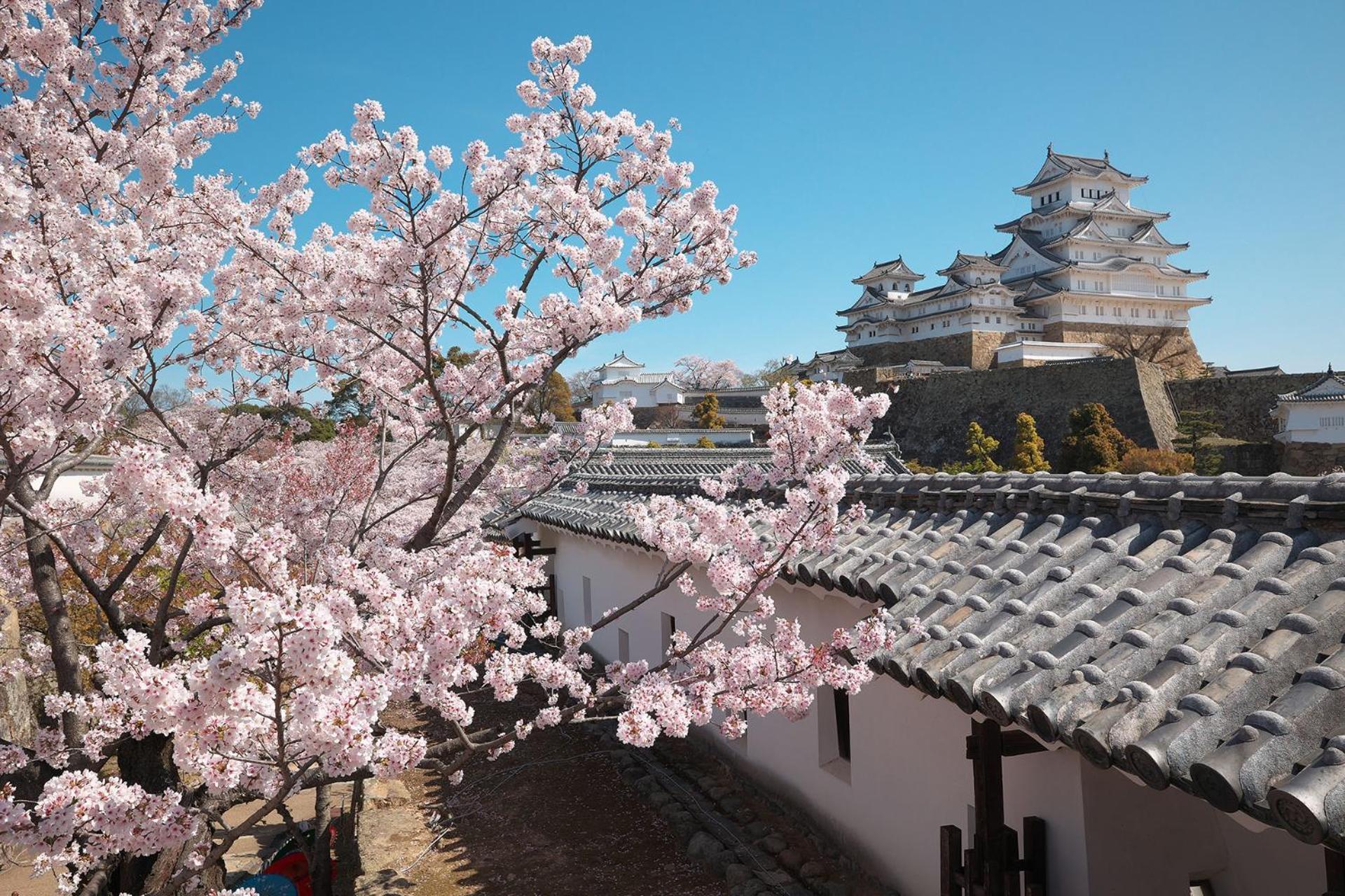 Wholehouse Himeji ホールハウス 姫路 Villa Exterior photo